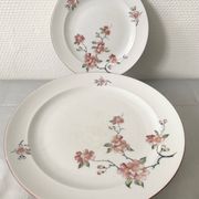 Assiettes Winterling