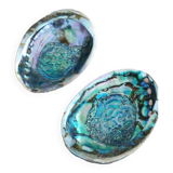 Shells