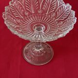 Glass cup decorated with foliage