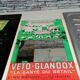 Veto Glandox sheet plate mirror advertising 1930