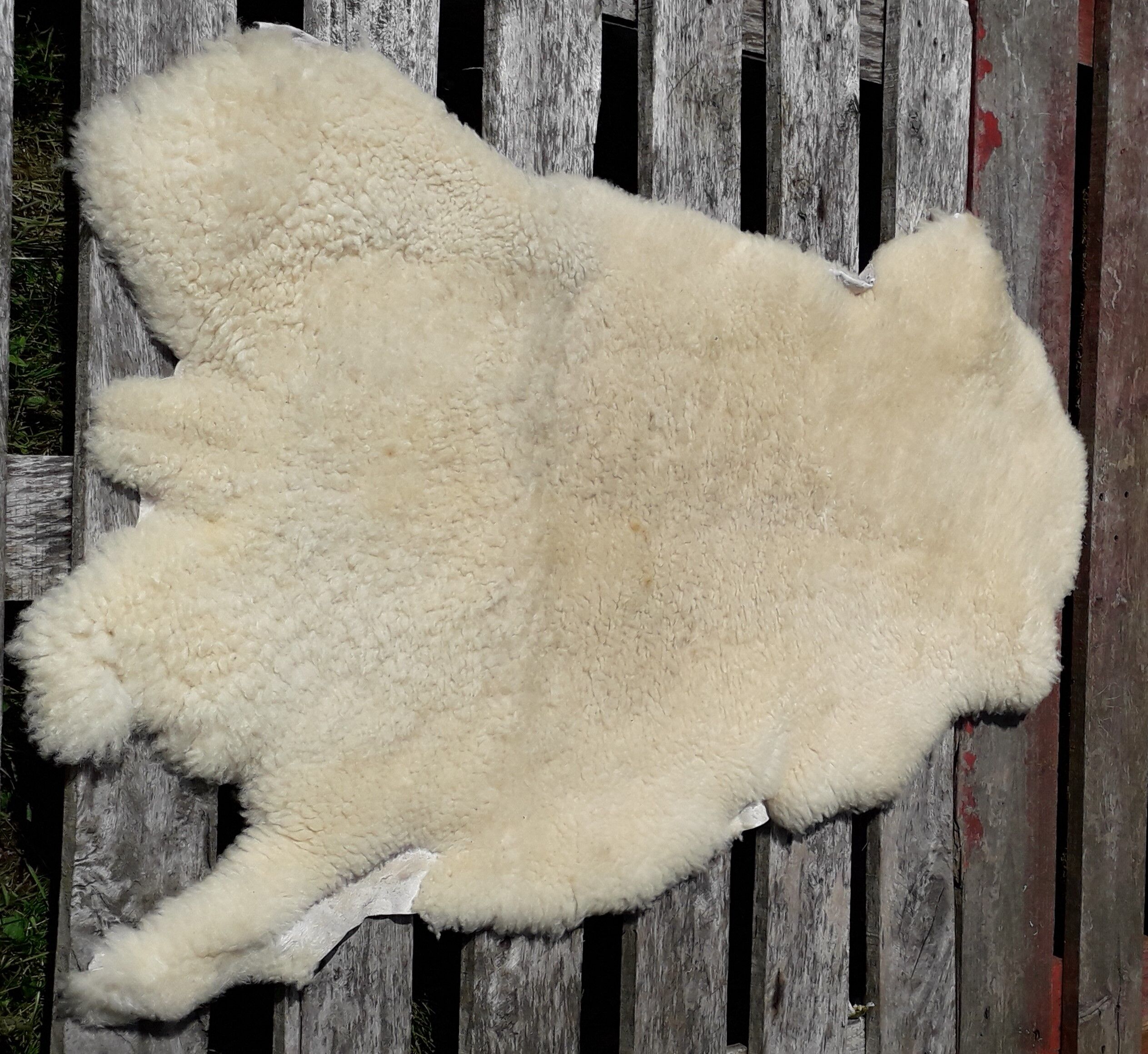 Sheepskin 100 x 56 cm