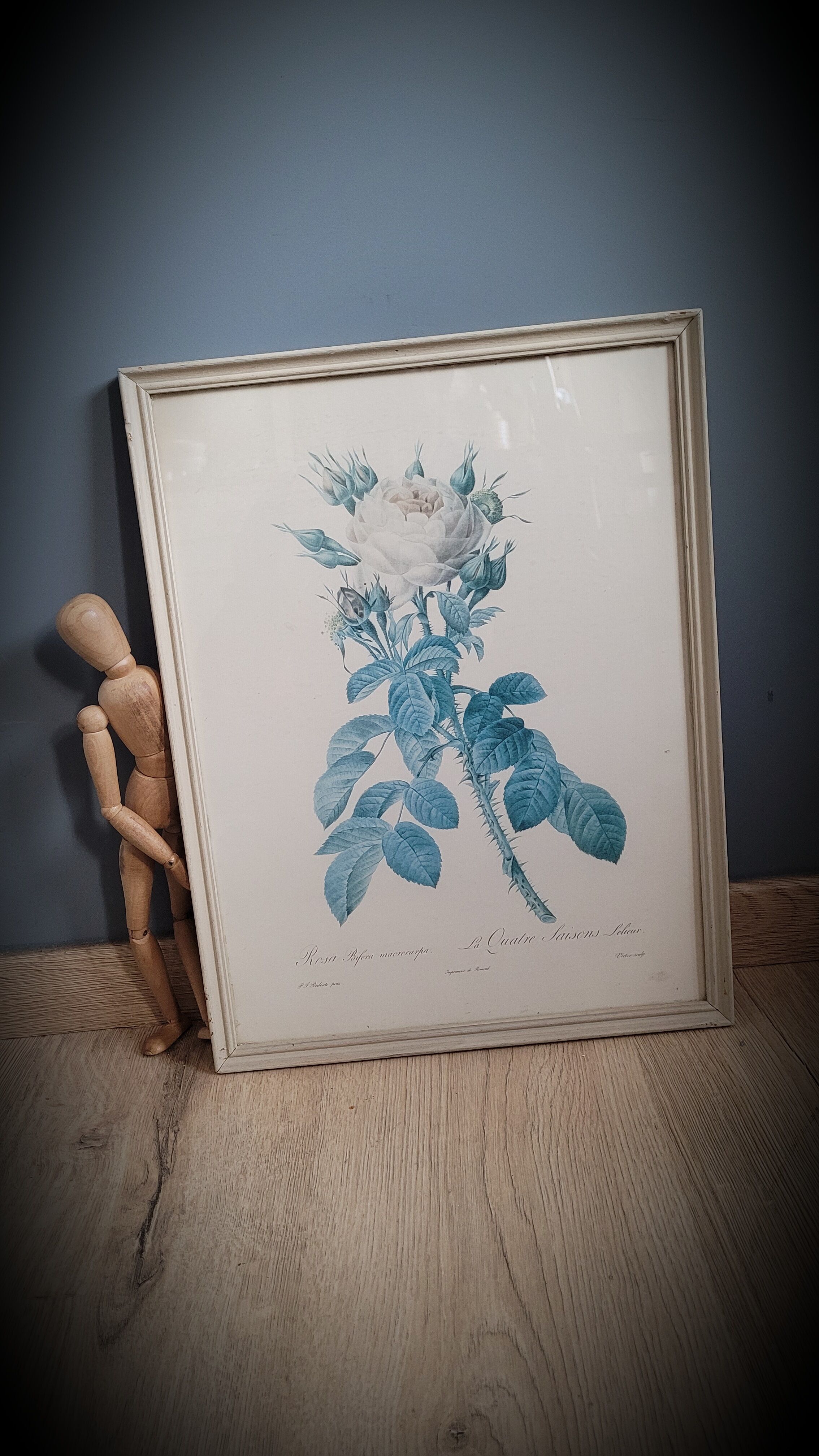 Litho rose Four seasons Lelieux