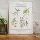 Botanical tea board to help children sleep