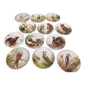 Set of 12 porcelain plates vintage collection wild birds