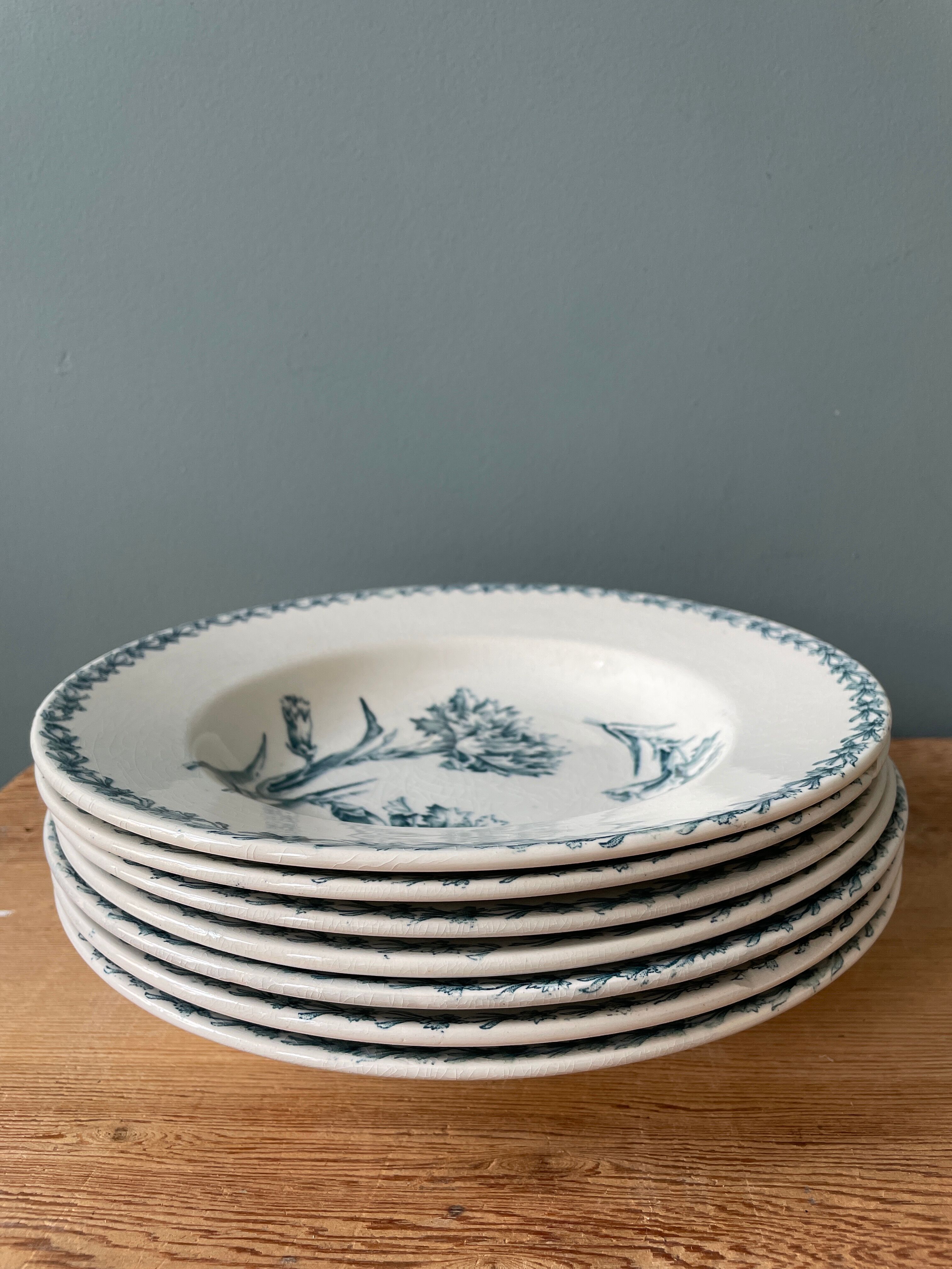 Set of 7 hollow plates Terre de Fer K.G Lunéville, model "carnation"