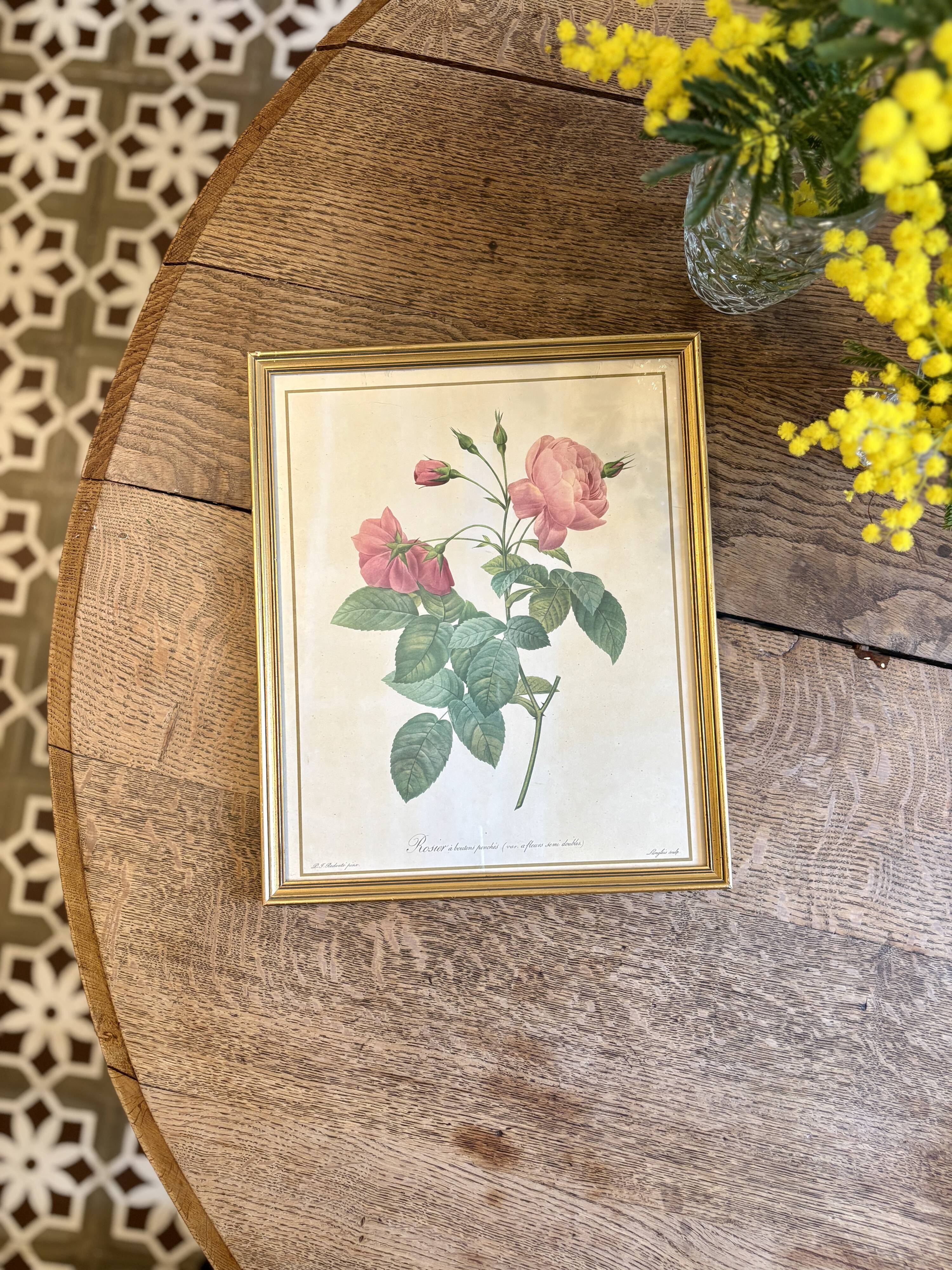 Old frame Redouté roses