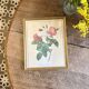Old frame Redouté roses