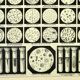 Engraving. Microbe, bacteria, biology • Original vintage poster from 1898