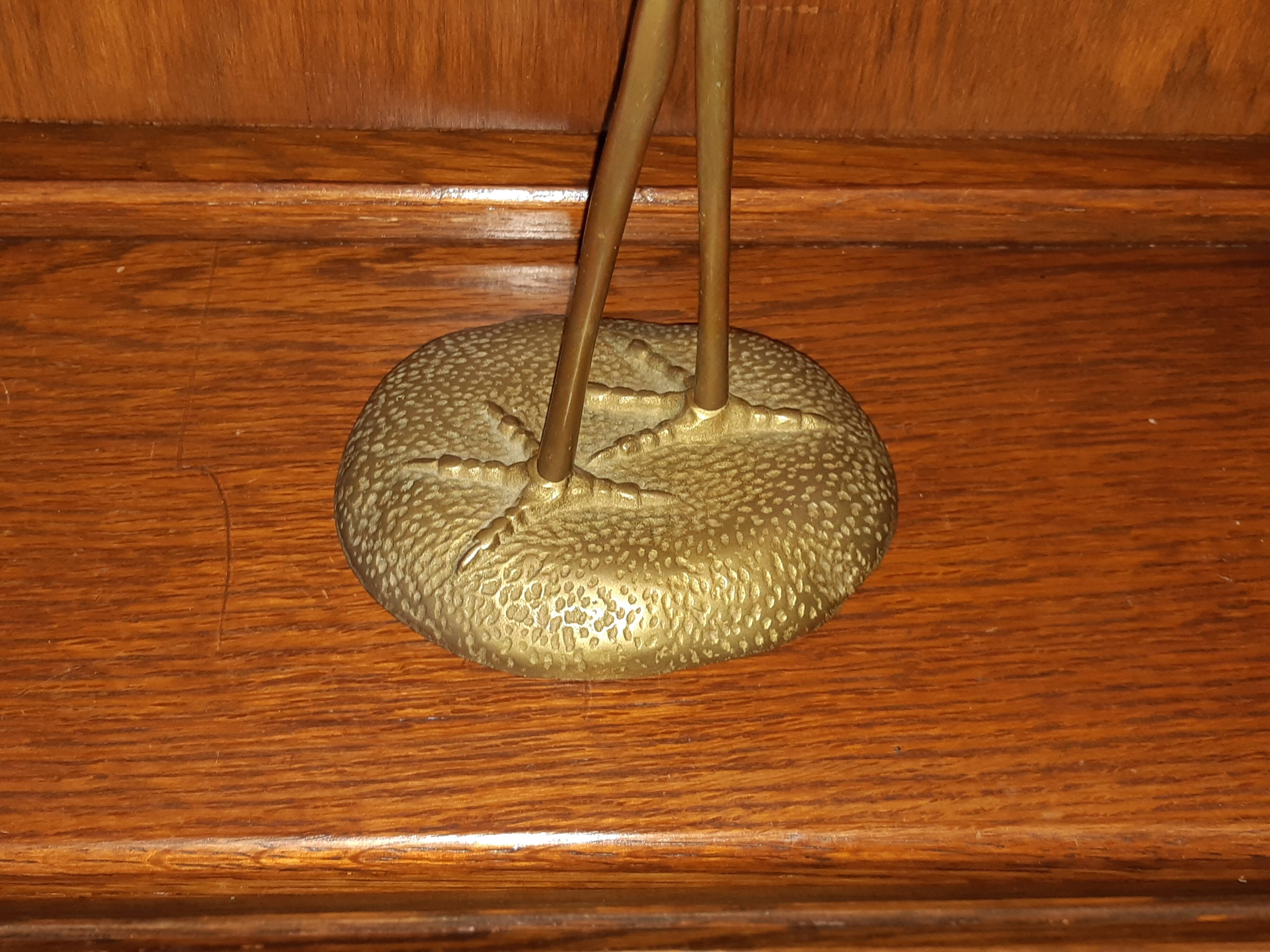 Brass-bronze egret bird