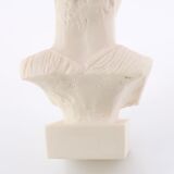 Bust of the Charioteer of Delphi