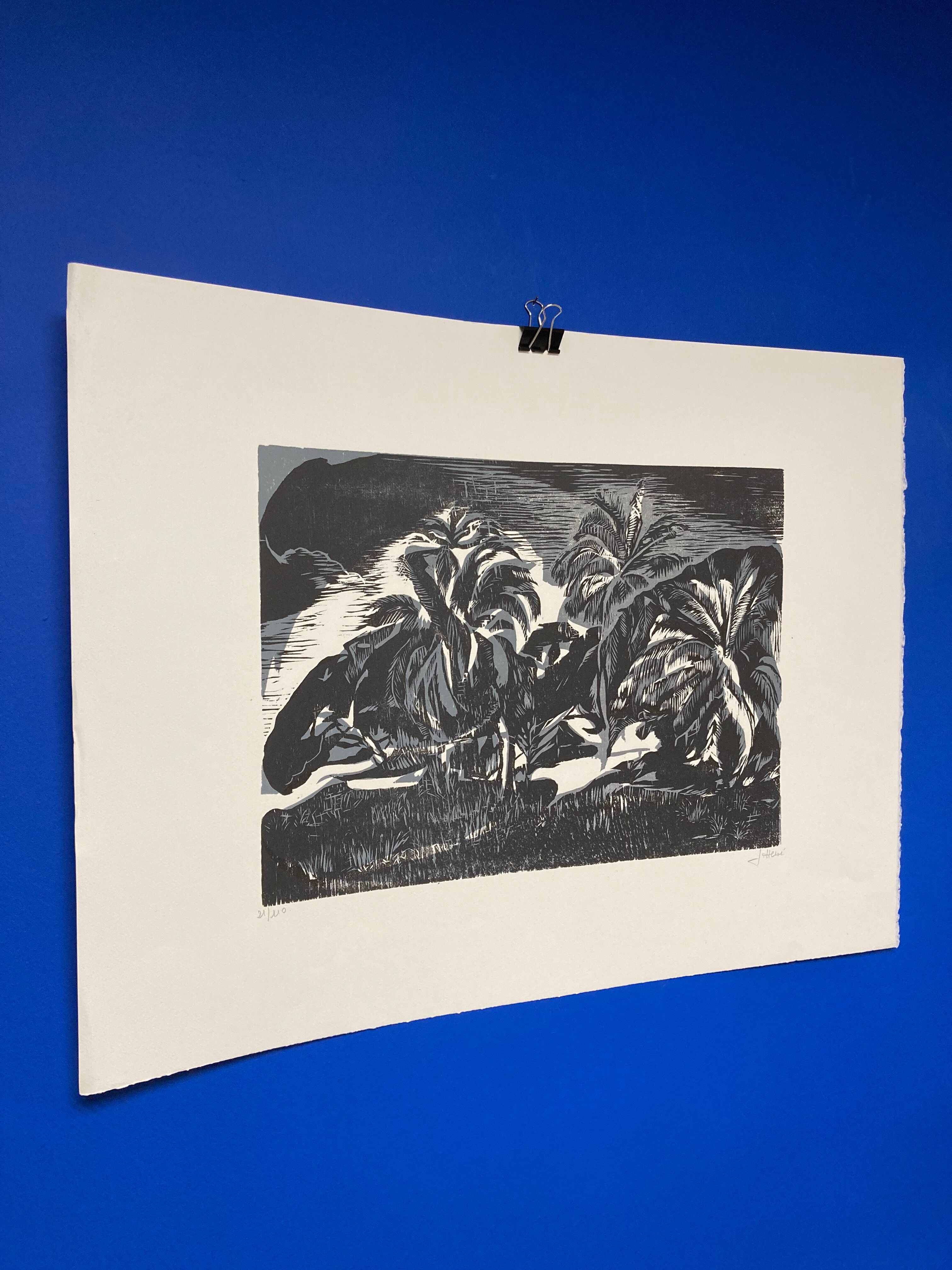 Illustration Le Bois des Cocotiers