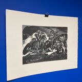 Illustration Le Bois des Cocotiers