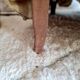 Fauteuil crapaud ancien fleuri