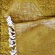 Contemporary Rug Chartreuse - 284 x 248 cm