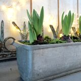 Pair of stainless steel planters