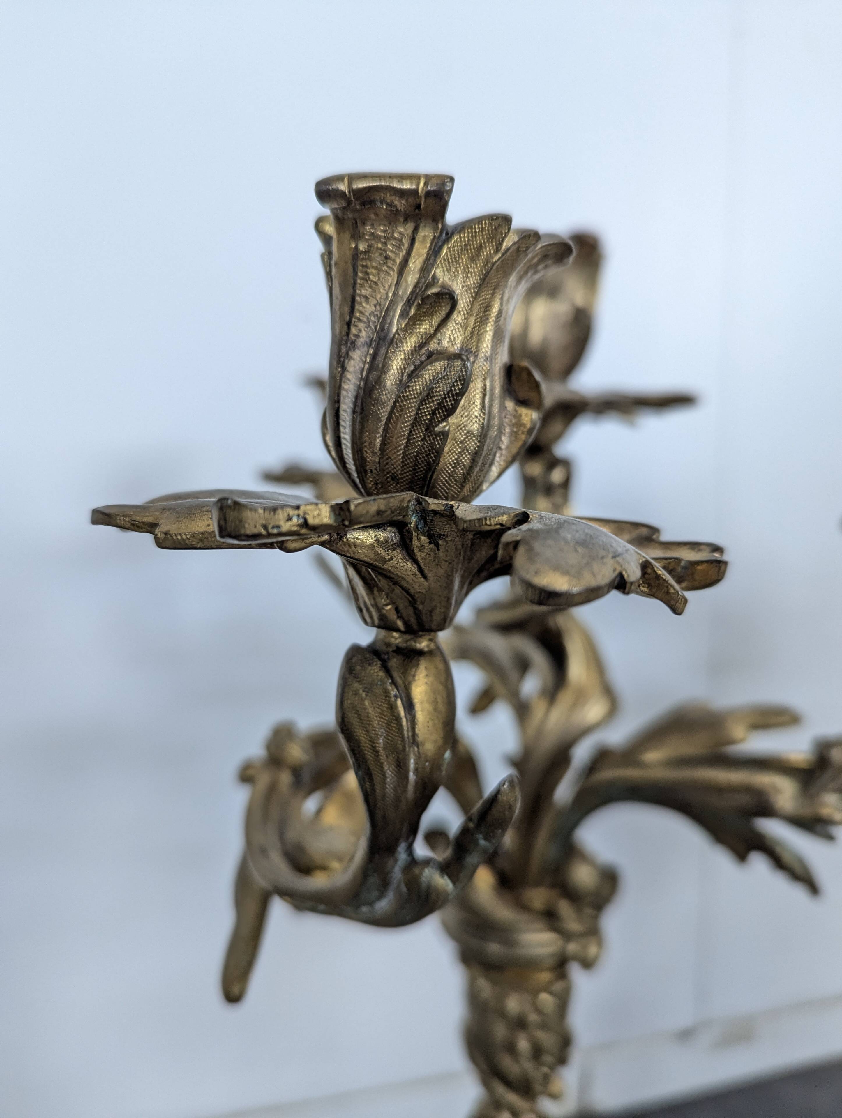 Pair of Candle Holders or Candelabra in Gilded Bronze