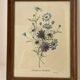 Framed botanical print