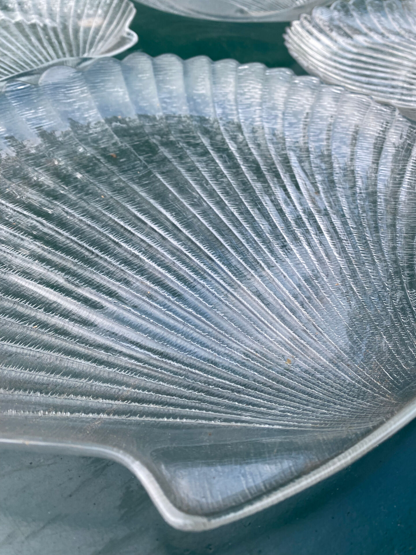 Grandes assiettes plates coquillage , Saint-Jacques 