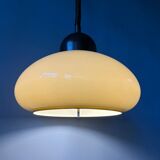 Mushroom suspension by Dijkstra