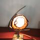 Fish lamp attributed to Willy Daro, 1970s.