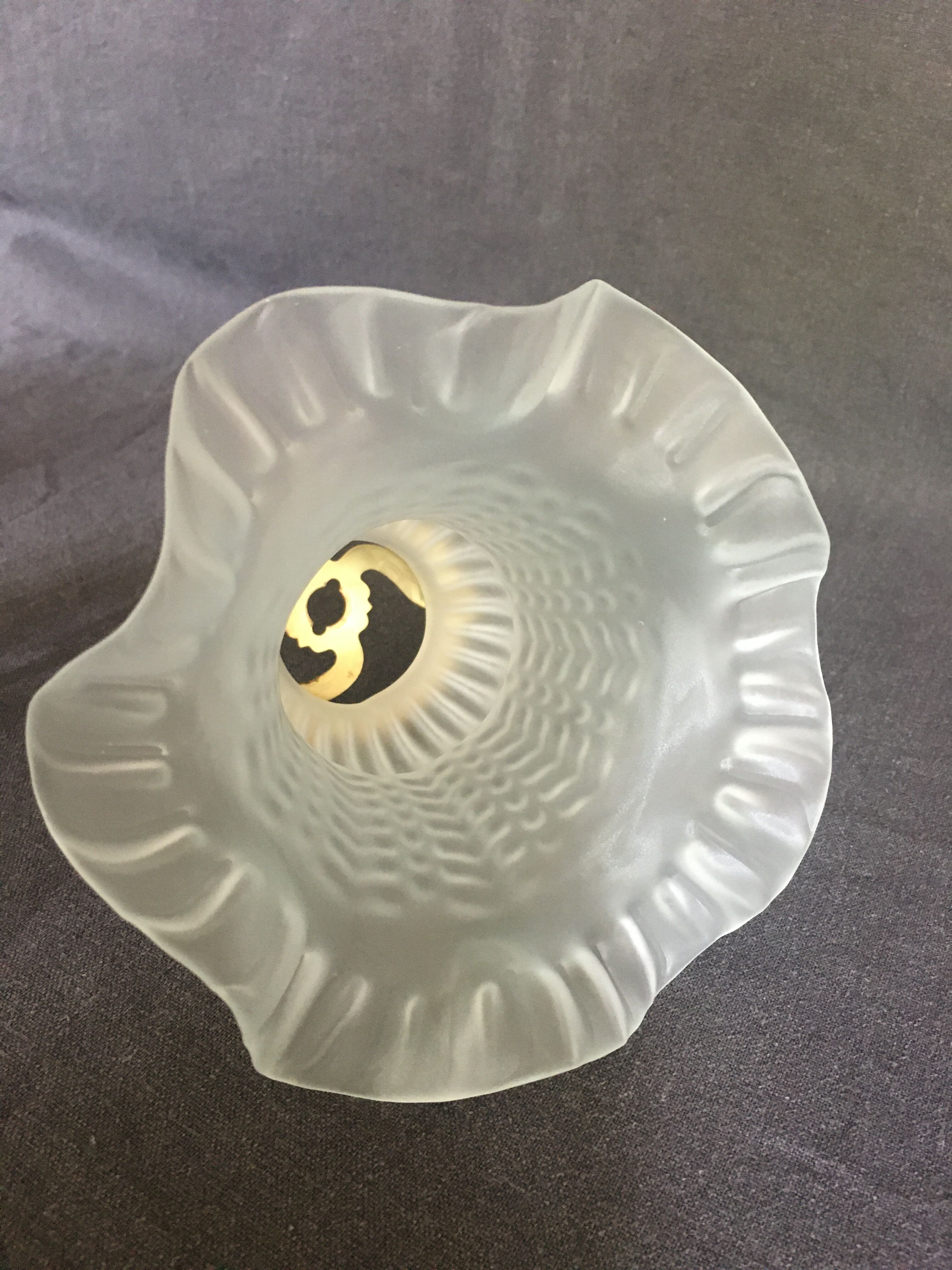Tulipes en verre dépoli