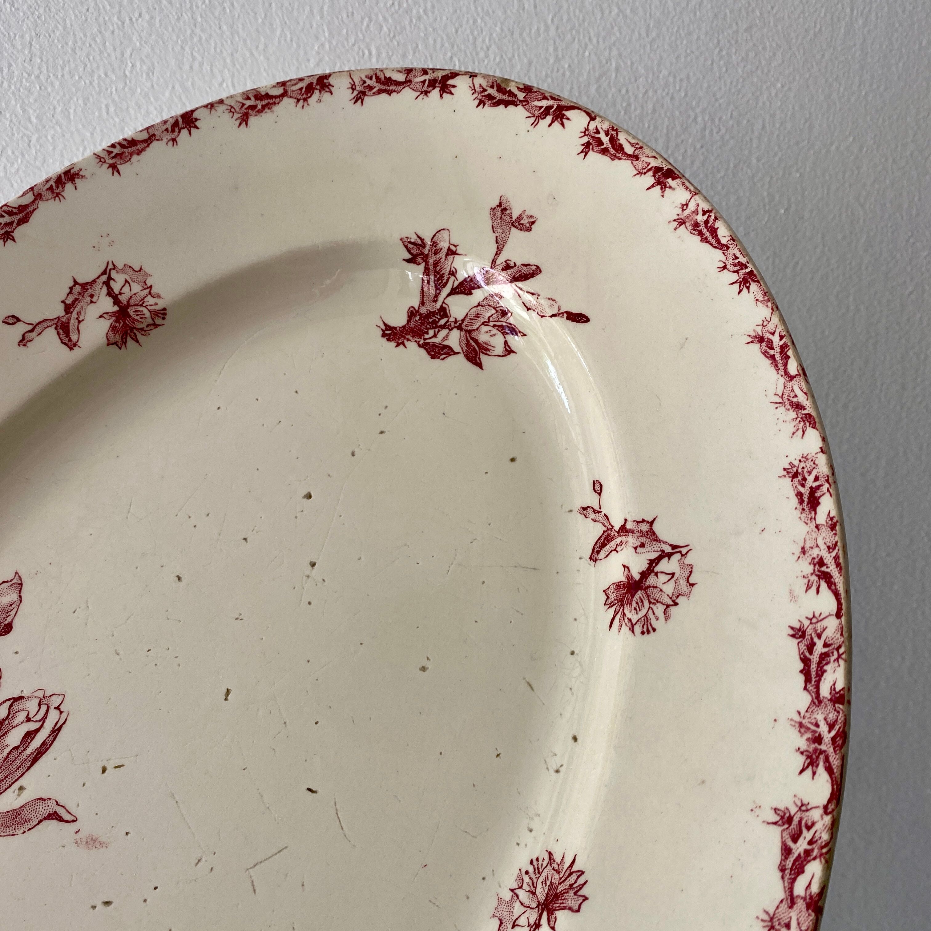 Old oval dish in iron earth