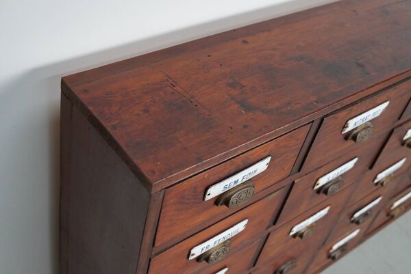 Grand Cabinet d'Apothicaire Antique en Pitch Pine, Belgique, avec Boucliers en Émail, 1900s