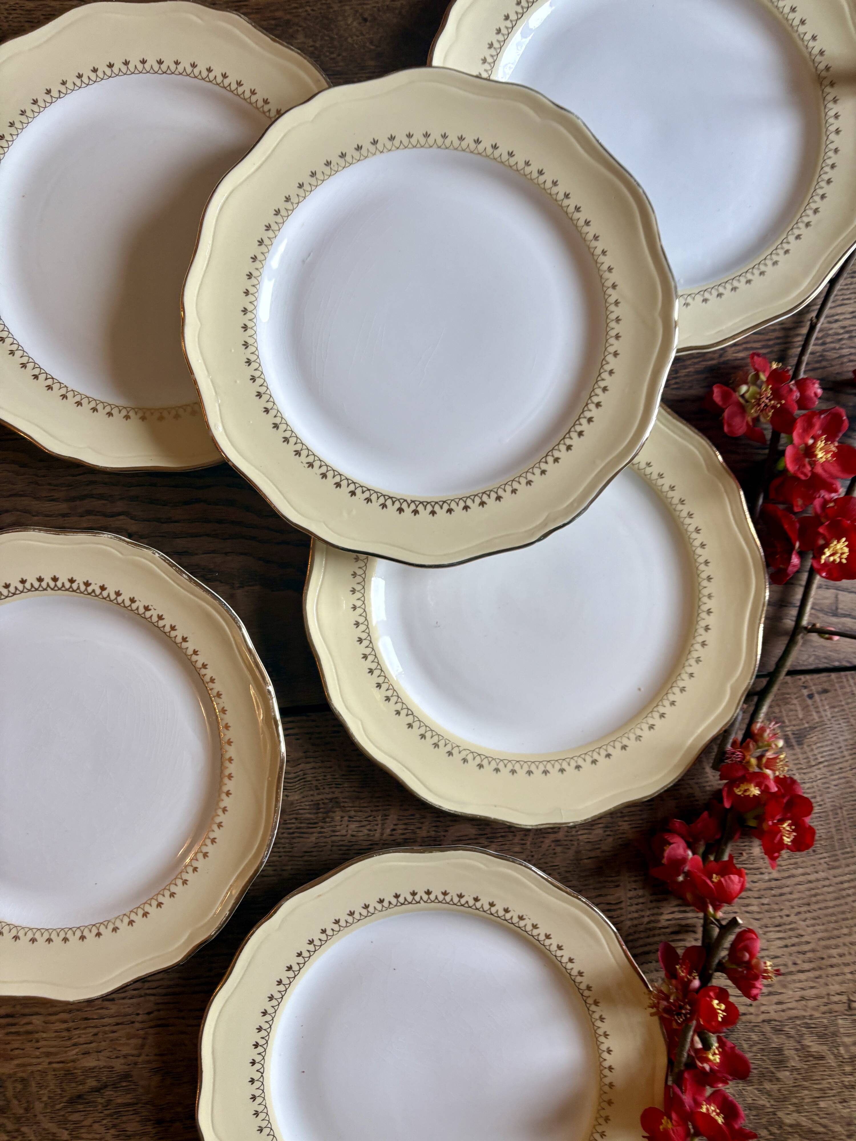 Set of 6 vintage white dinner plates with yellow and gold trim.