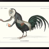 Chimera lithograph animal engraving - the coquandérou