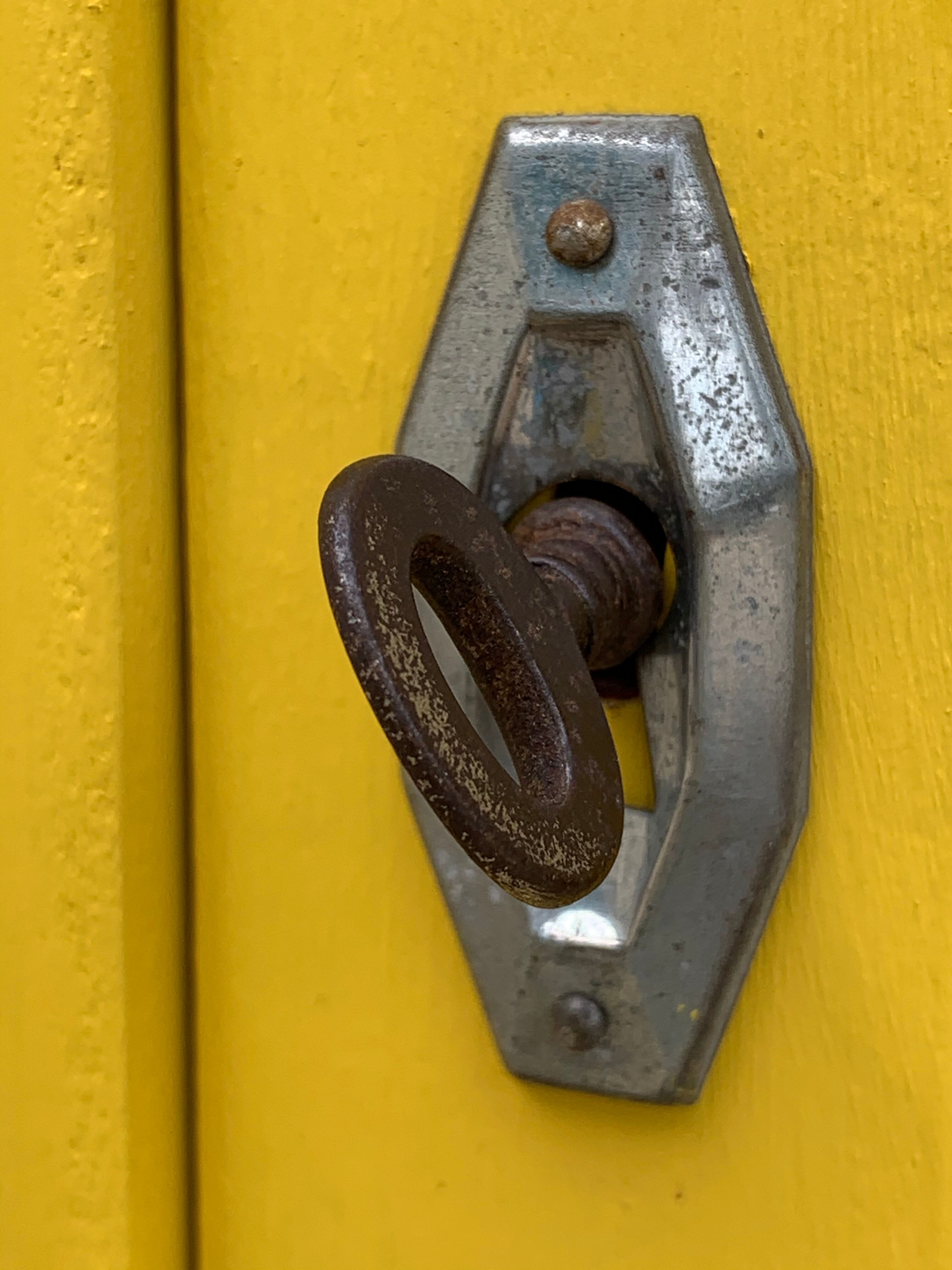 Glass-glazed Parisian wardrobe 1950