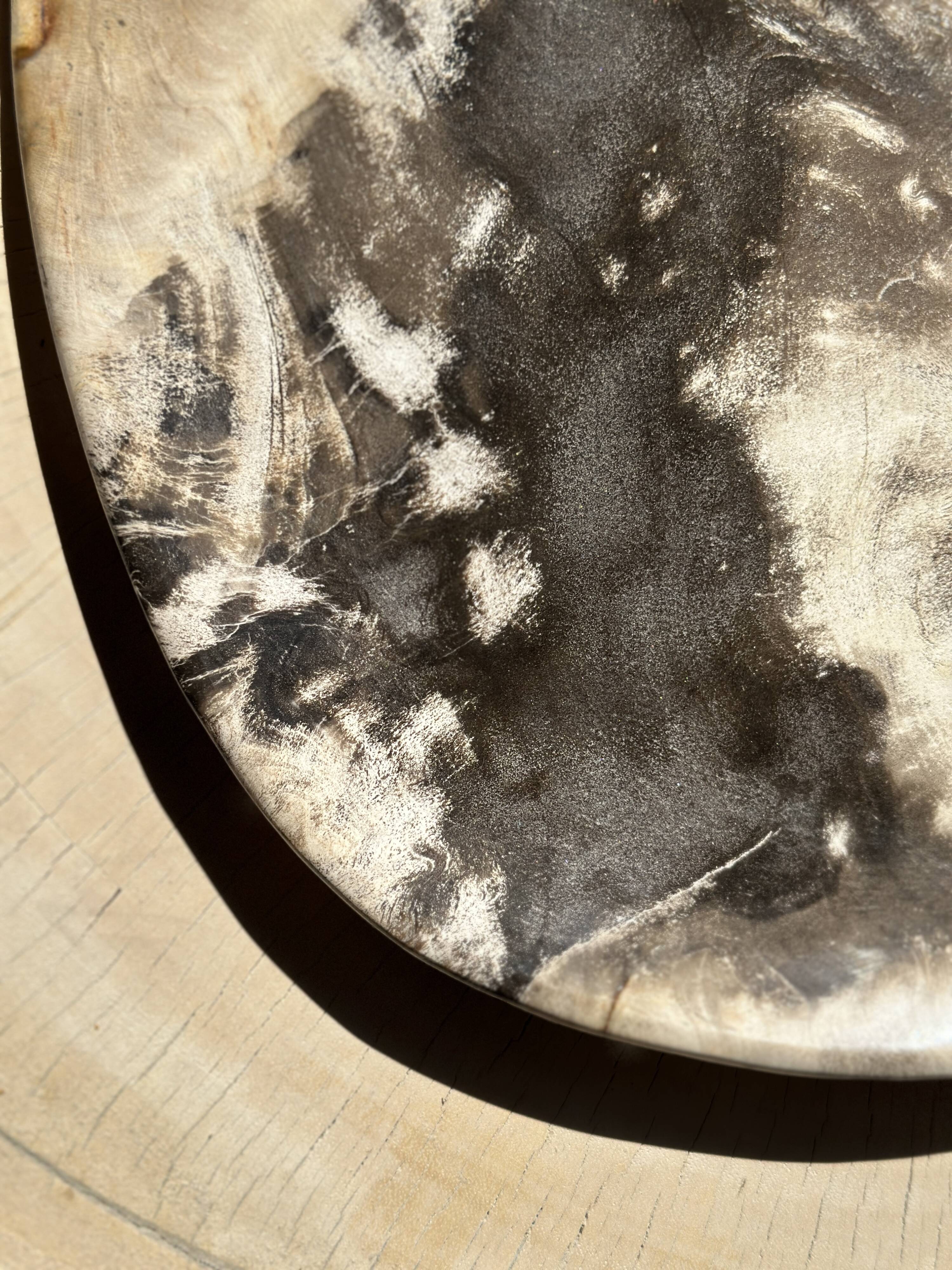 Very large pocket or dish in petrified wood