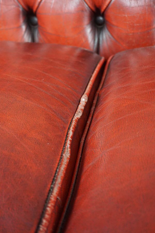 Chesterfield sofa 3 places in cowhide leather