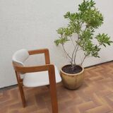 Vintage chair Augusto Savini model Pamplona 60s
