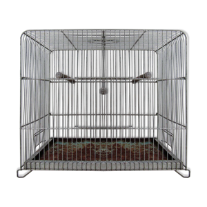 Ancienne cage à oiseau vert mint