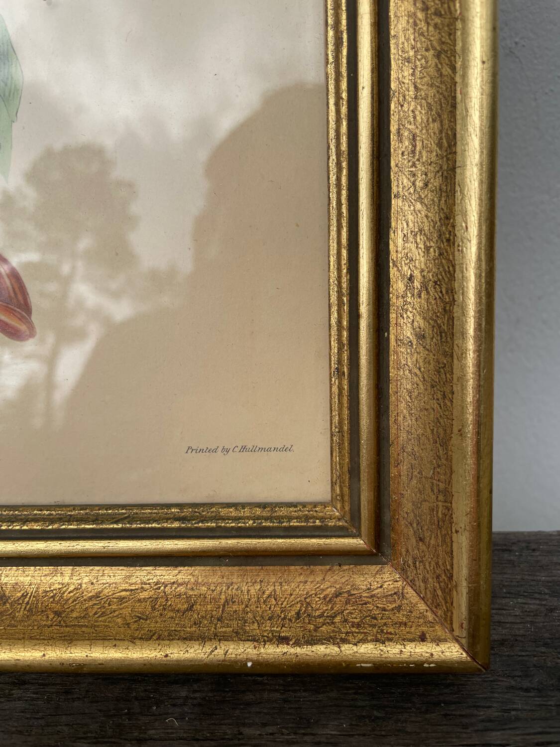 Golden wooden bird frame ornithological board