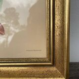 Golden wooden bird frame ornithological board