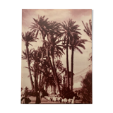 Moroccan photo