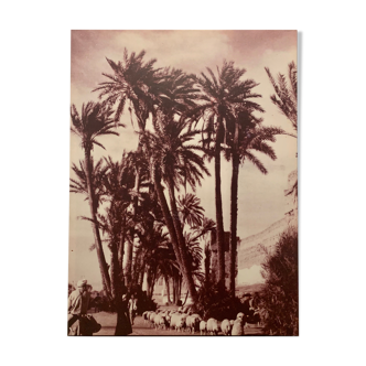 Moroccan photo