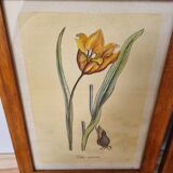 Pair of vintage frames watercolors flowers