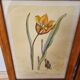 Paire de cadres vintage aquarelles fleurs