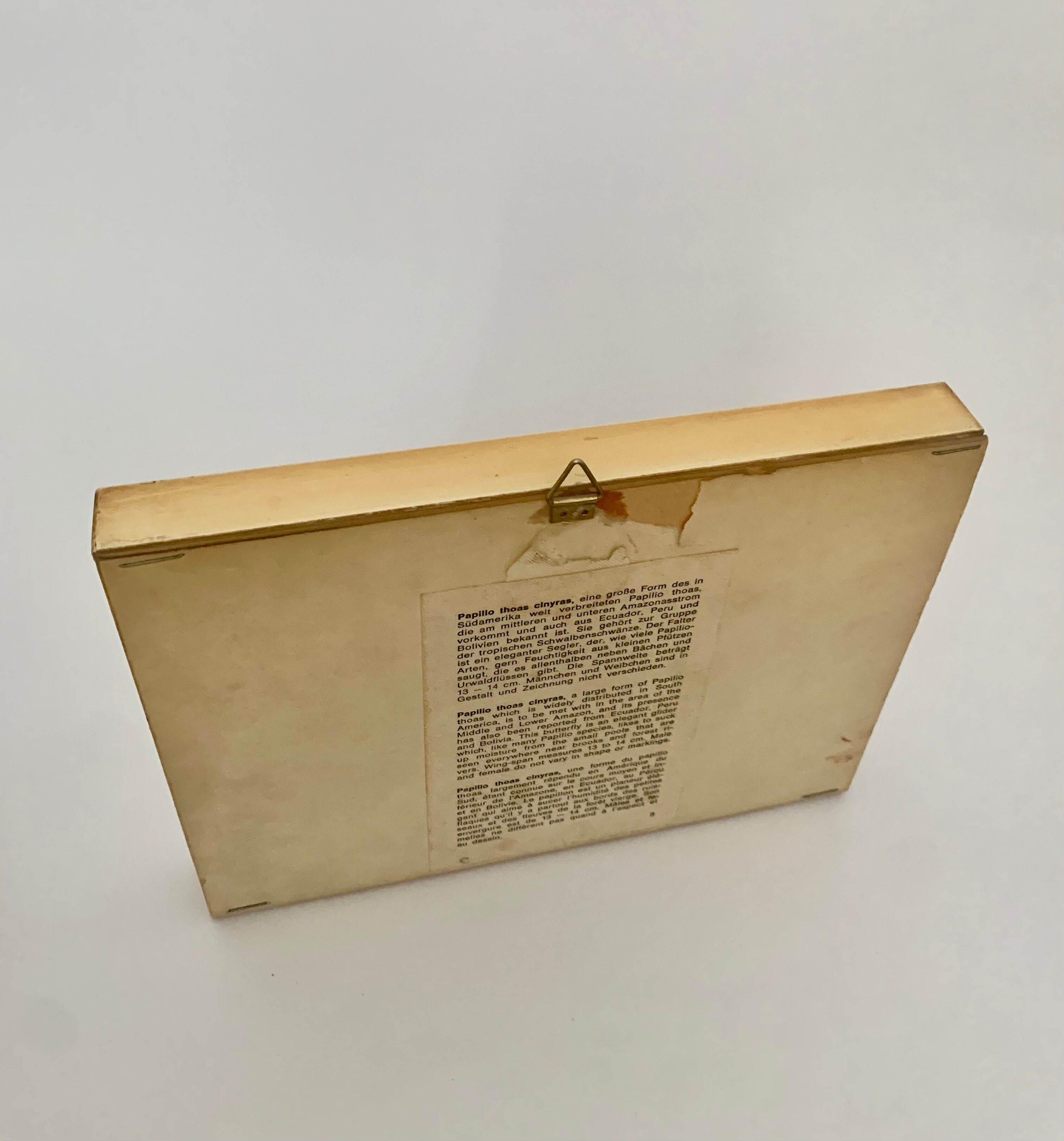 Butterfly wall frame