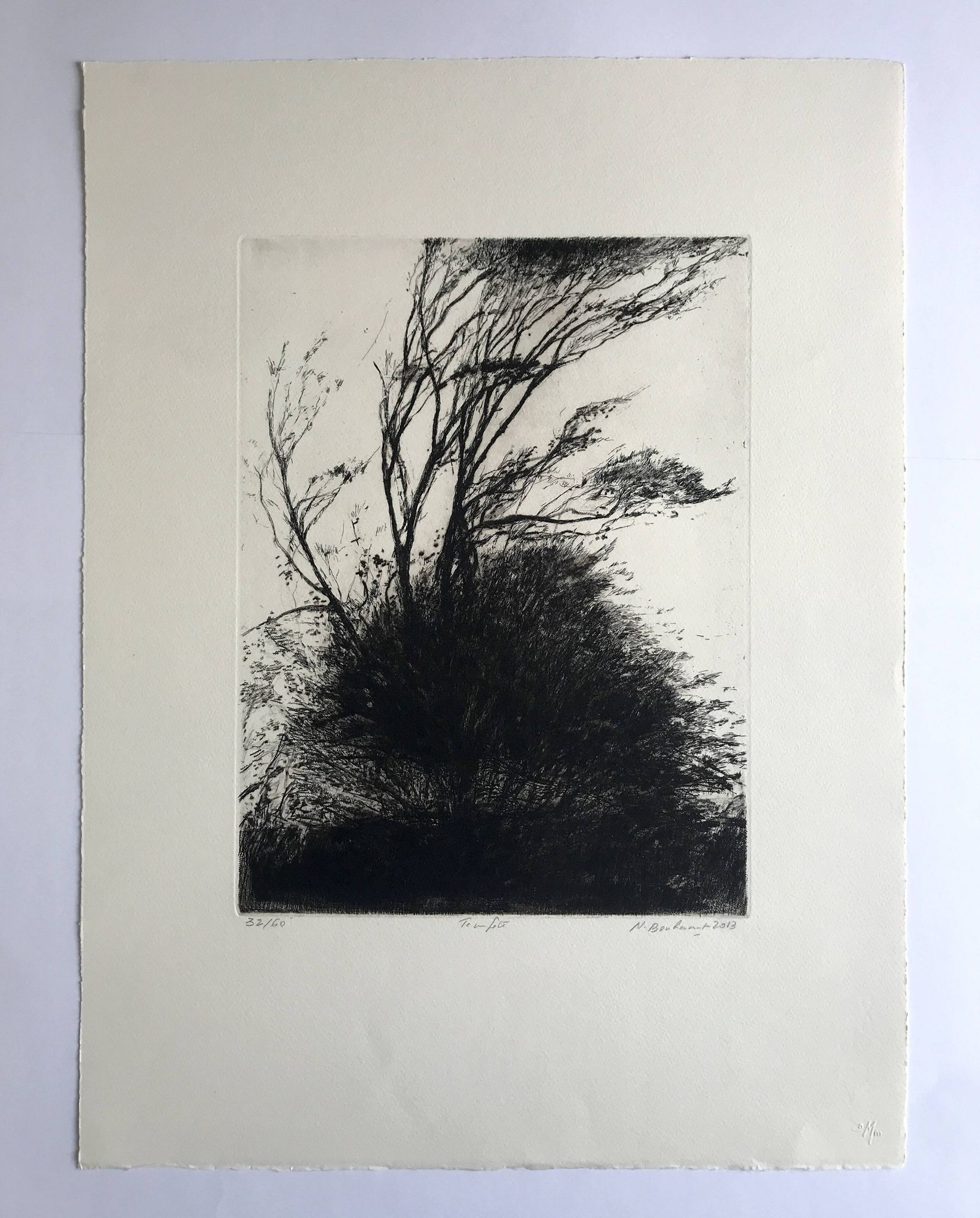 Nicole Bouharmont, tempête, 2013, pointe sèche originale signée