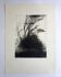 Nicole BOUHARMONT, Tempête, 2013. Original signed drypoint