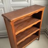Vintage low library in shallow wood