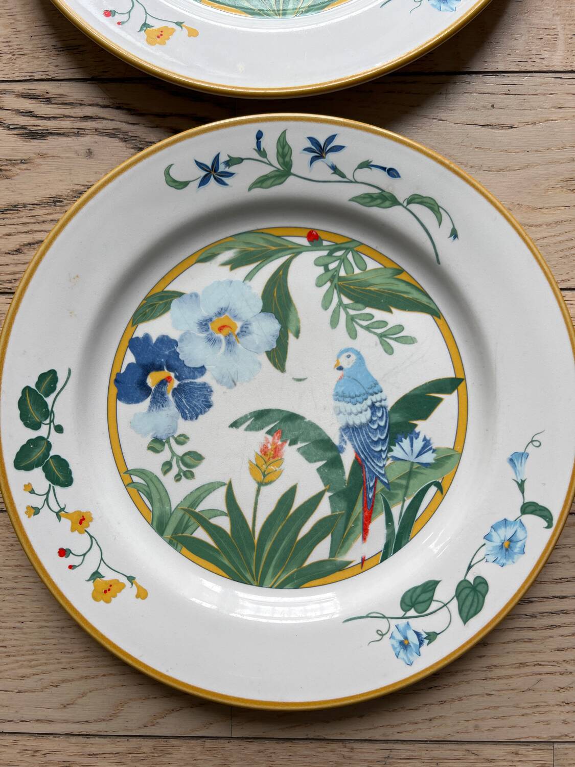 Flat plates model Ara Pier Import