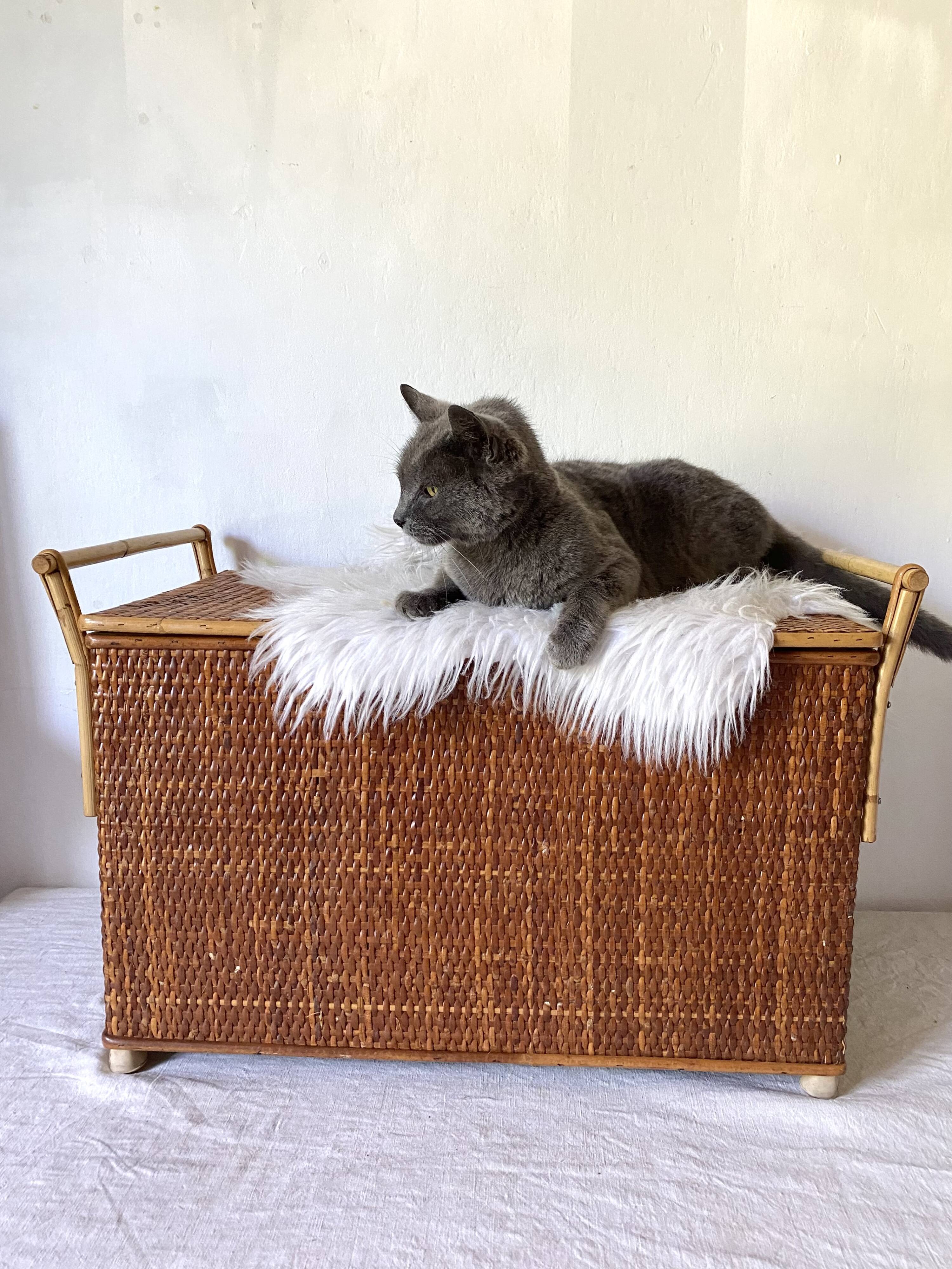 Vintage rattan cane bench chest