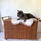 Vintage rattan cane bench chest