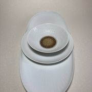 Plats en porcelaine