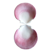 Empty-pocket shells