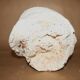 Corail Blanc boule diamètre 20 cm